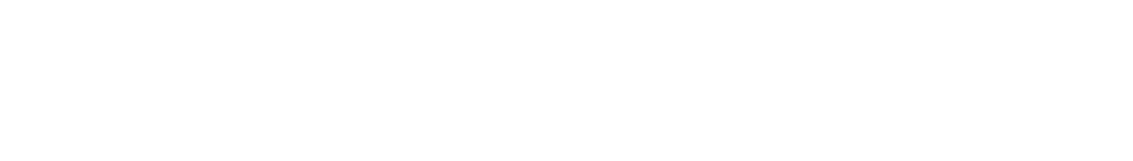 Wiesendanger Audio Service Logo